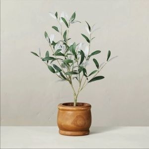 Hearth & Heand Magnolia Olive Tree Wood Planter